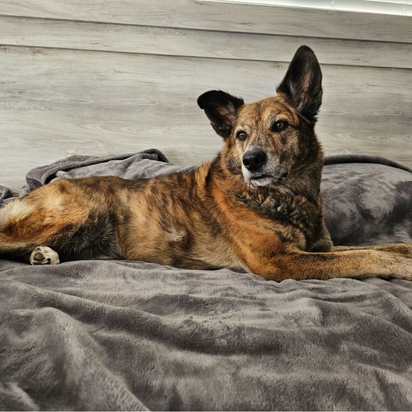 Meet your Posher, Natalie - Picture 1 of 1